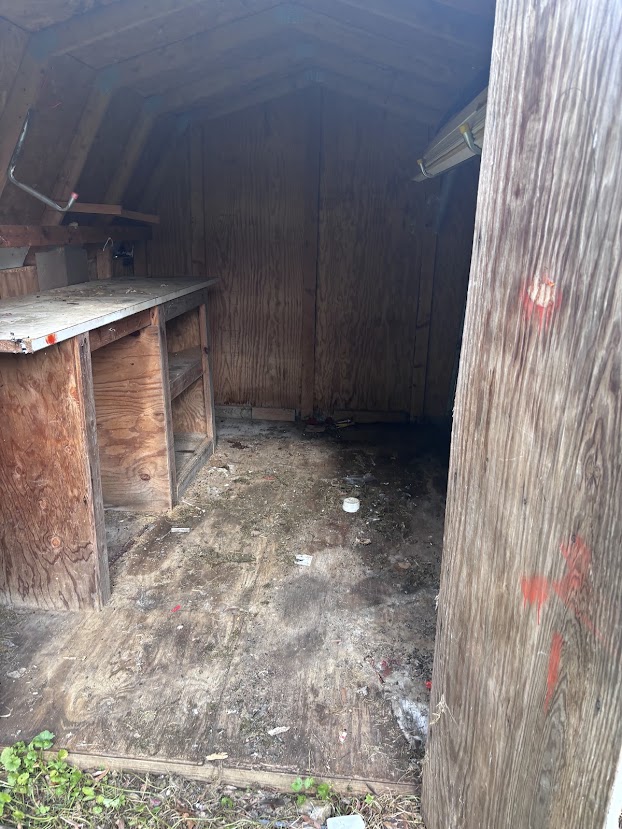 Same shed empty after Refined Junk cleared it